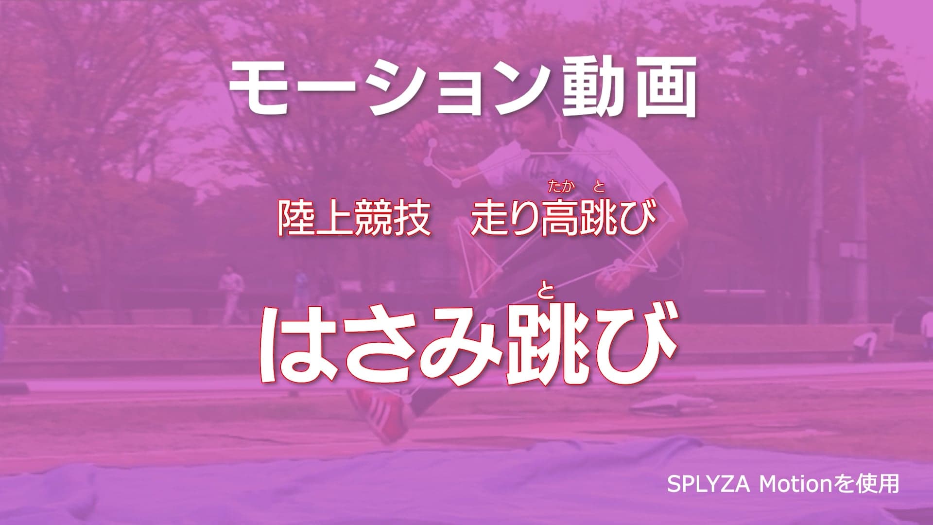 モーション動画