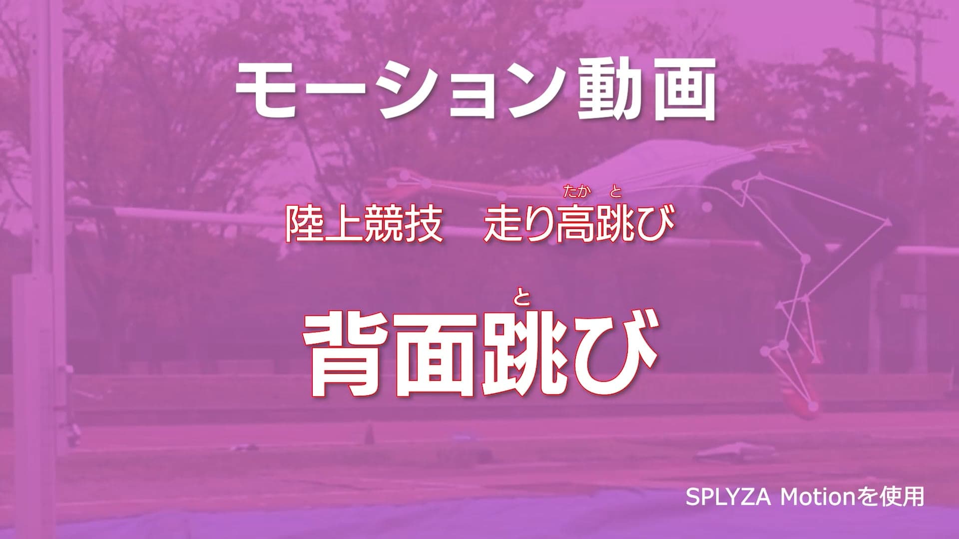 モーション動画