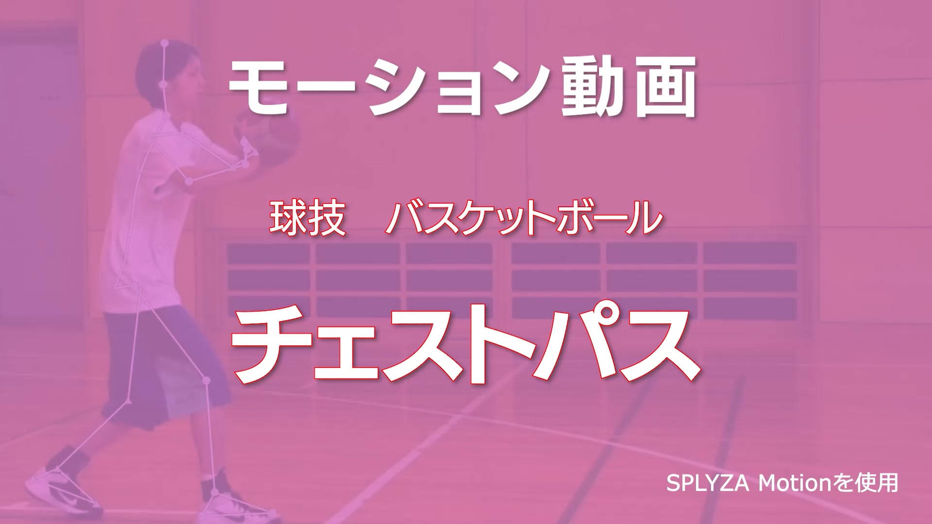 モーション動画