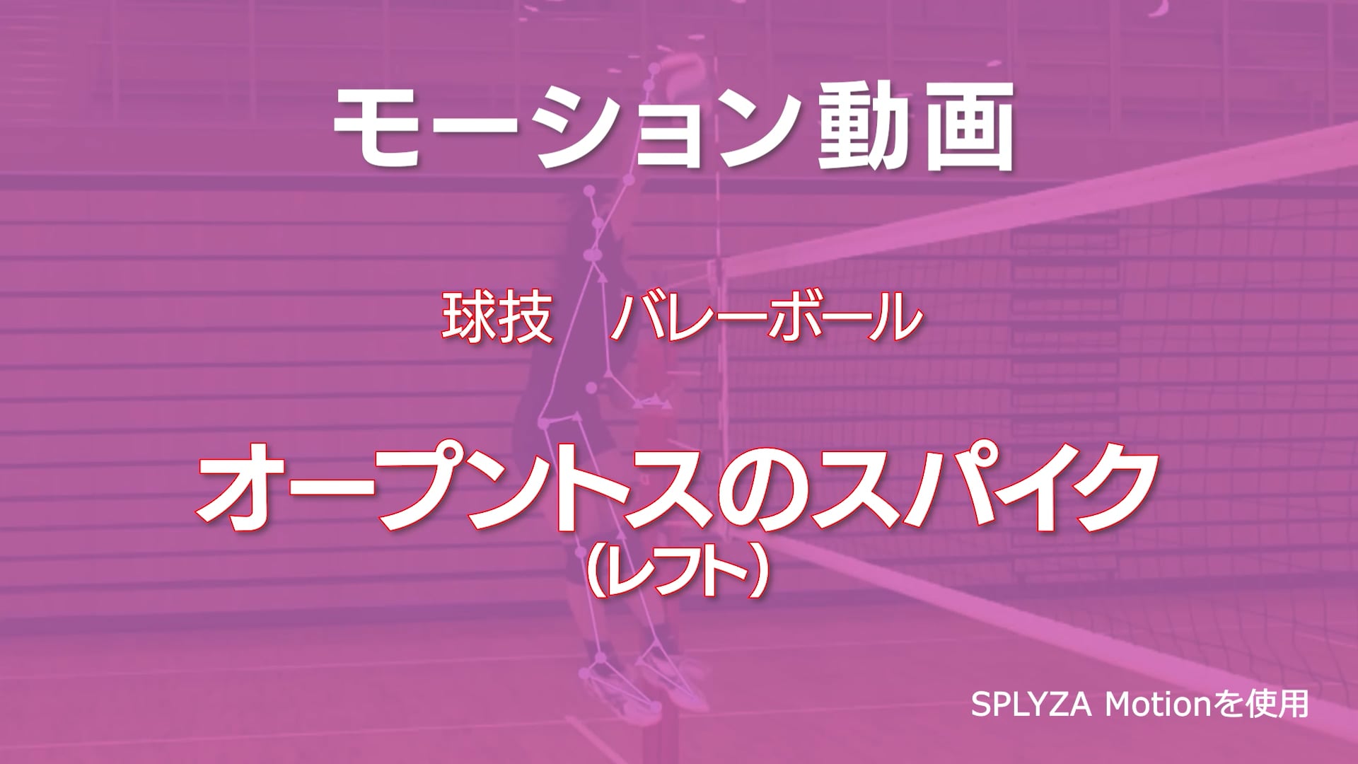 モーション動画