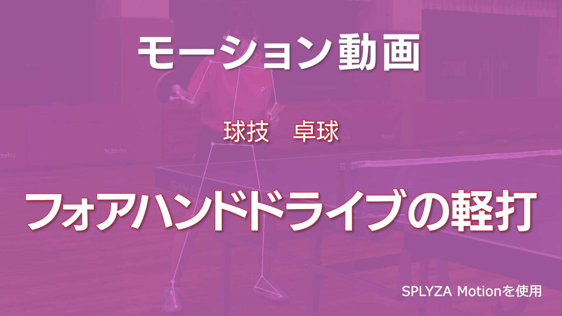 モーション動画
