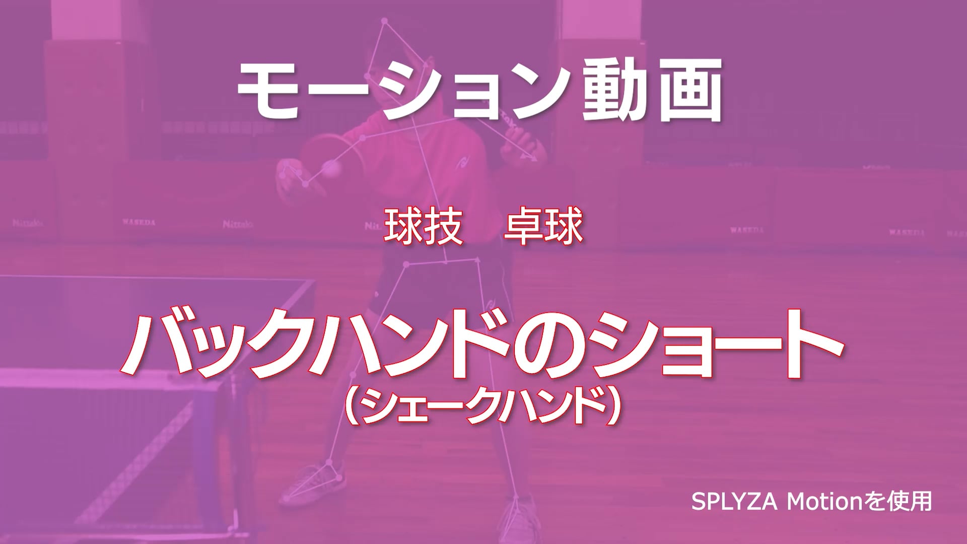 モーション動画
