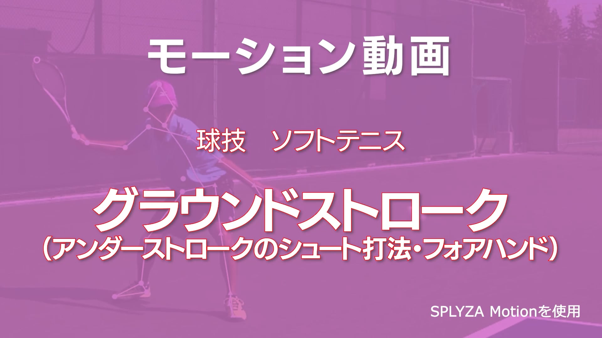 モーション動画