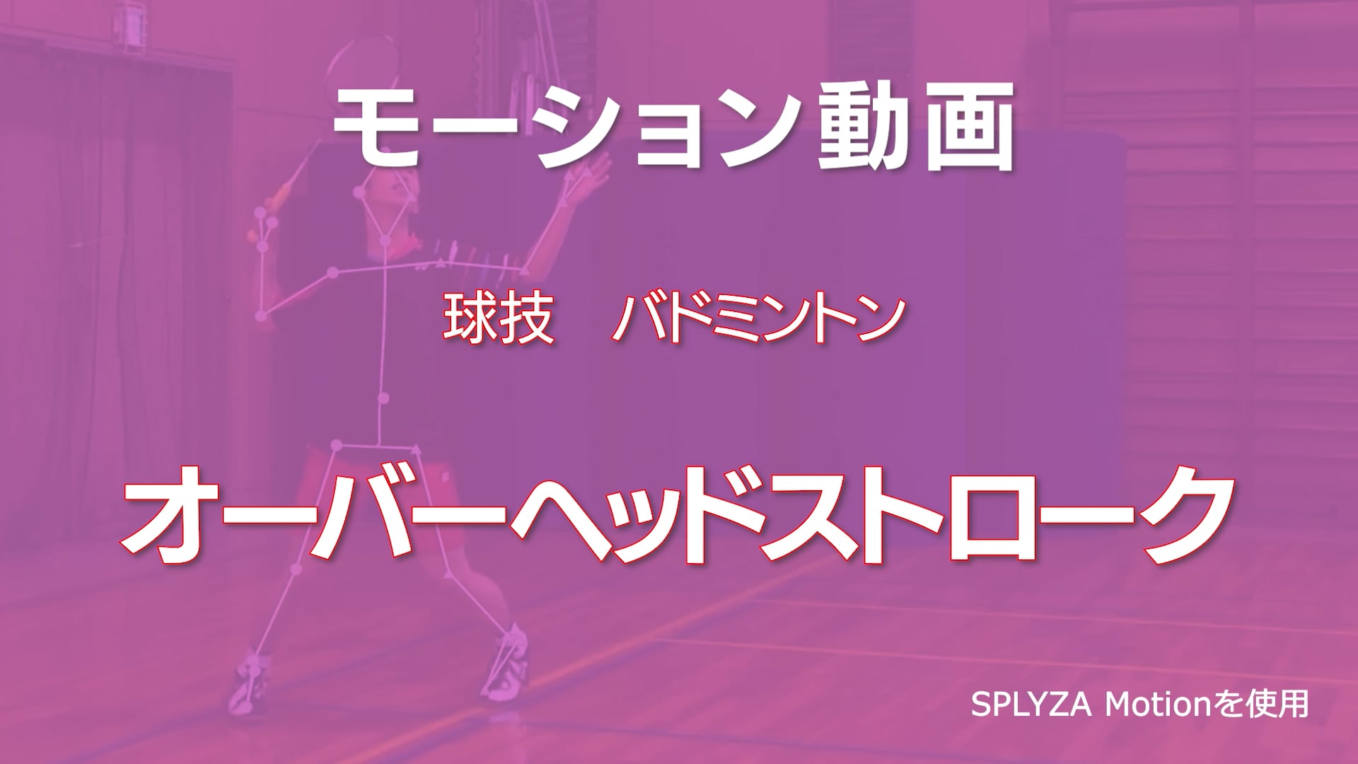 モーション動画