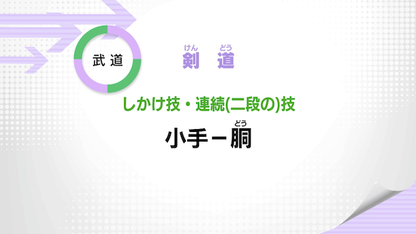 しかけ技・連続（二段の）技